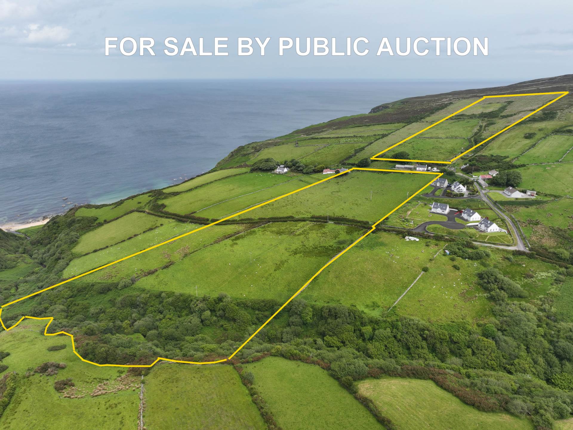 FOR SALE BY PUBLIC AUCTION – GLENAGIVNEY FARM