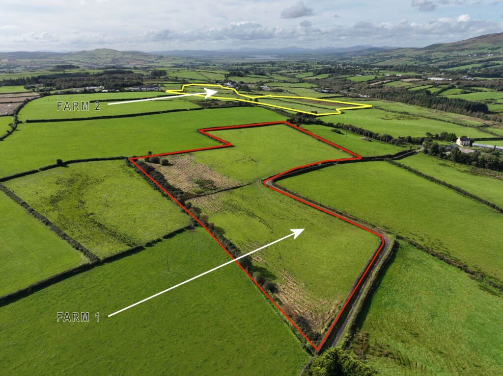 FOR SALE – DERRYVANE FARMS, MUFF