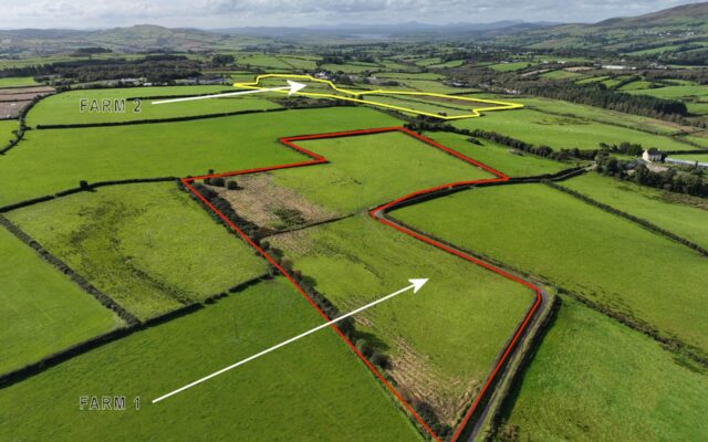FOR SALE – DERRYVANE FARMS, MUFF